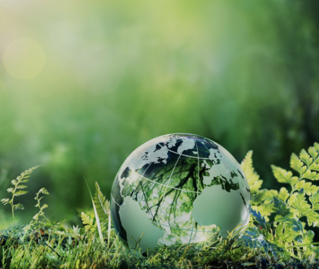 BV zelene storitve in trajnostne rešitve