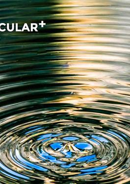 circular +