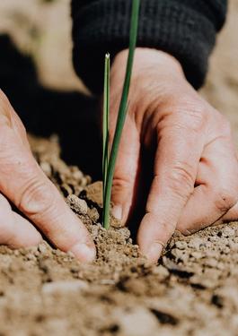 DRUŽBA, ETIKA IN UPRAVLJANJE