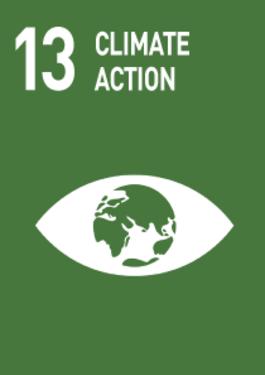 13 CLIMATE ACTION