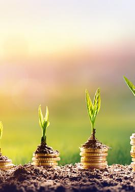 ZELENE FINANCE