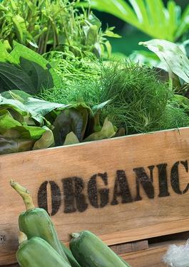 Ustvarjamo boljse poslovne prakse